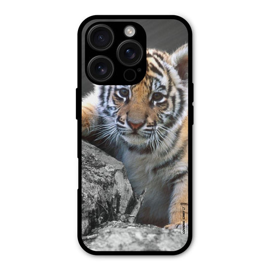 Animal Beauty Shockproof Hybrid Protection (Metal + TPU) Back Case Cover