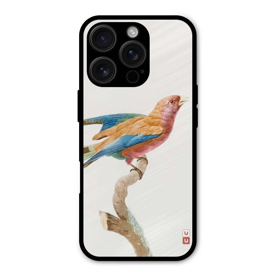 Beautiful Bird Shockproof Hybrid Protection (Metal + TPU) Back Case Cover
