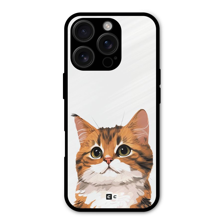 The Cute Cat Shockproof Hybrid Protection (Metal + TPU) Back Case Cover